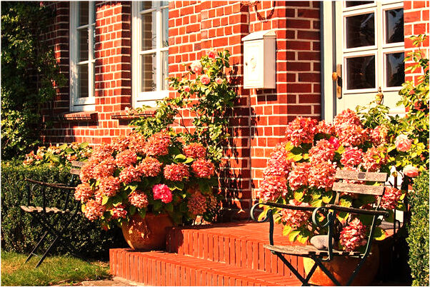 夢到了自己挨餓怎么回事_周公解夢官網