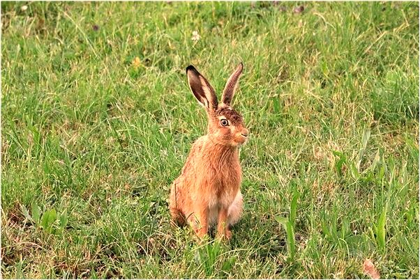 夢見表放錢是好是壞_周公解夢官網