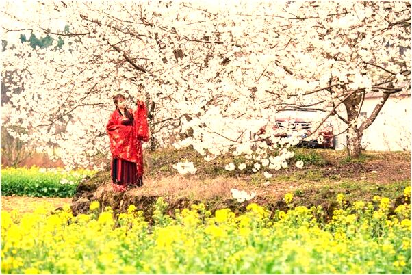 夢到水牛下牛仔是吉兆嗎?_周公解夢官網