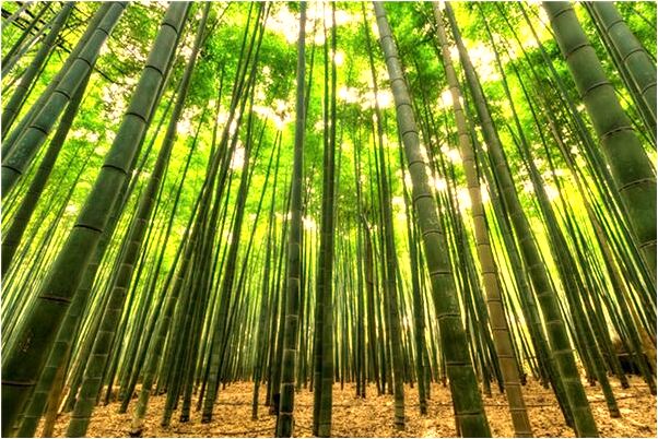 夢見被朋友潑水有什麼意思_周公解夢官網