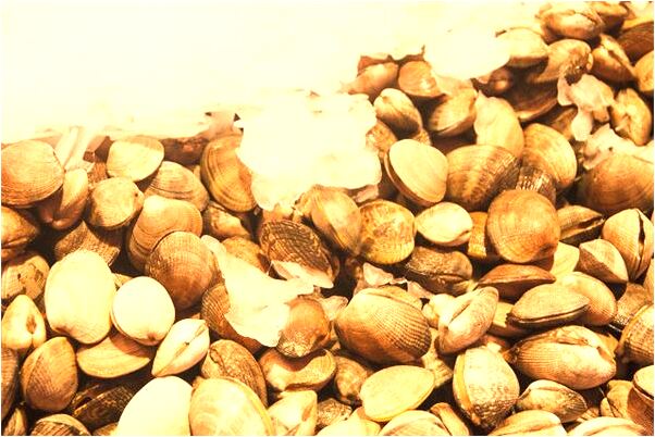 夢見女人臉上有血是凶兆還是吉兆_周公解夢官網