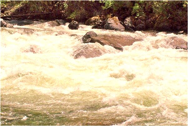 夢到自己找不到剎車代表著什麼？_周公解夢官網