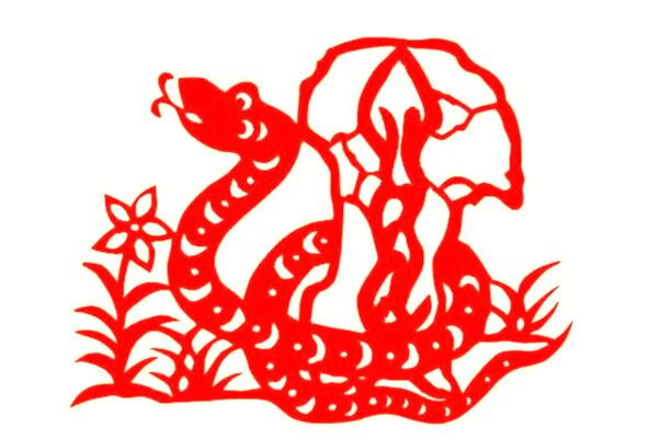 夢到了朋友被動物踩傷是什麼意思？_周公解夢官網