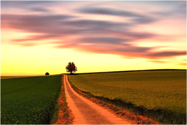 夢到甲魚咬手有什麼說法_周公解夢官網