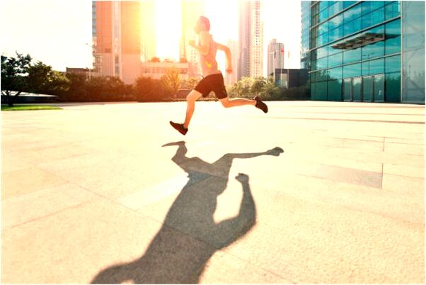 夢到了好多貓咪仔是啥預兆_周公解夢官網
