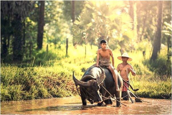 夢到骨灰罐打到我有什麼徵兆_周公解夢官網