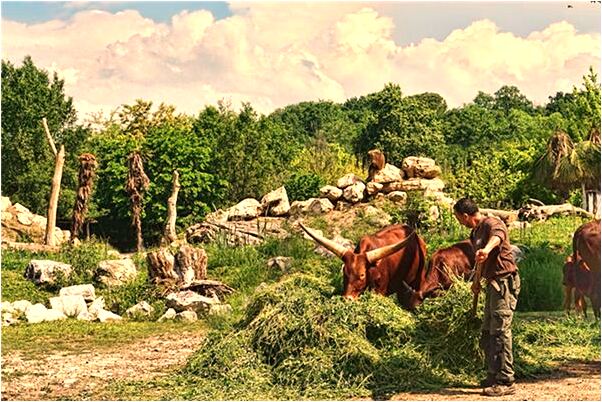 夢到了電梯七樓有什麼意思嗎_周公解夢官網