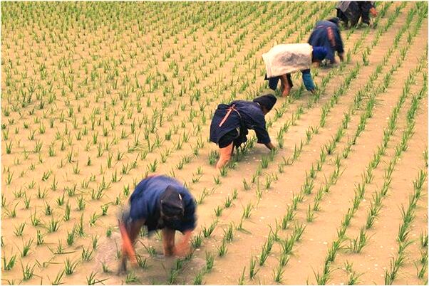 夢到了別人帶手銬在家裡開庭是吉兆嗎?_周公解夢官網