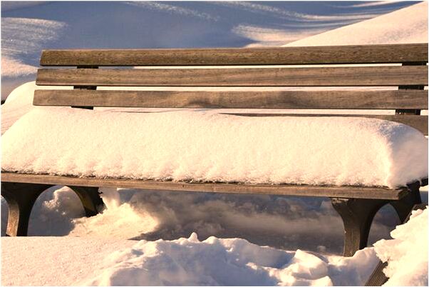 夢到別人砍下狗的腦袋是什麼預兆?_周公解夢官網