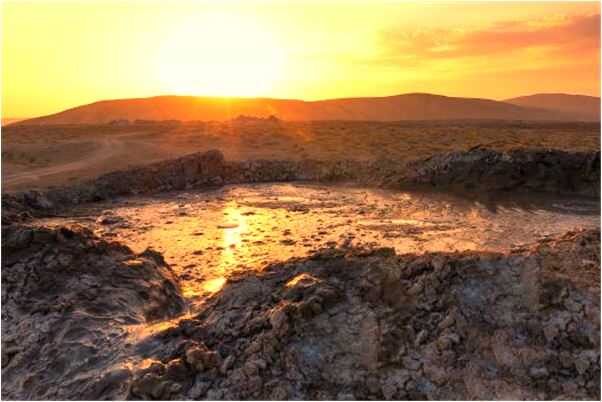 夢到了騎在好大的甲魚身上有什麼含義_周公解夢官網