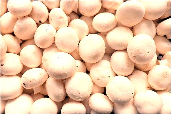 夢到老公身上長蟲子是咋回事_周公解夢官網