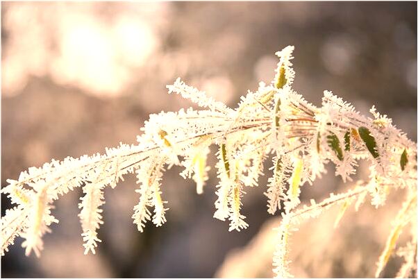 夢到了市中心的輕軌道是什麼徵兆_周公解夢官網