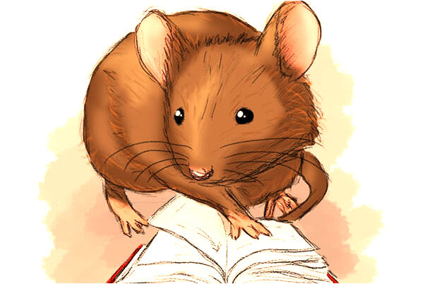 夢到了自己睡了三年是好事還是壞事_周公解夢官網