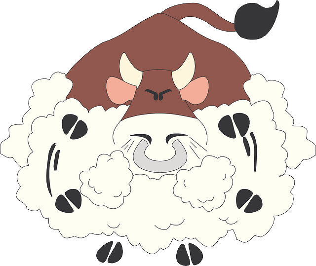 夢見戰鬥機_周公解夢夢到戰鬥機是什麼意思_做夢夢見戰鬥機好不好_周公解夢官網