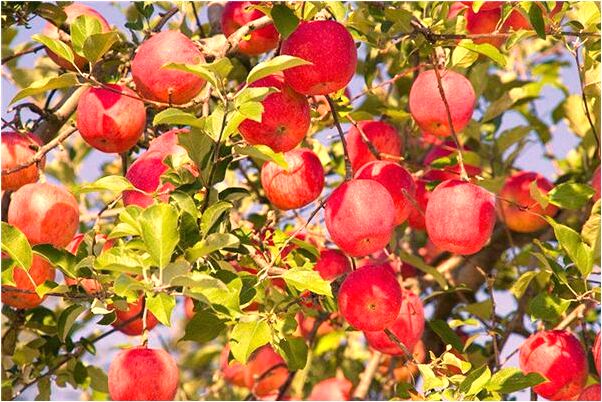 夢見與異性在河裡洗澡會怎么樣_周公解夢官網