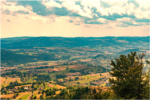 夢到一對陌生人做愛是好的徵兆嗎_周公解夢官網