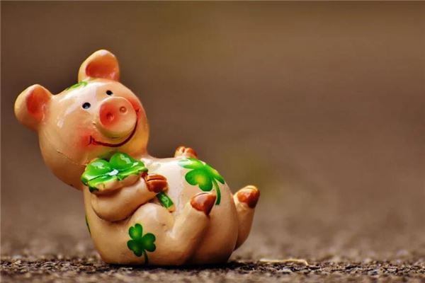 屬豬的今年多大福運好不好_十二生肖