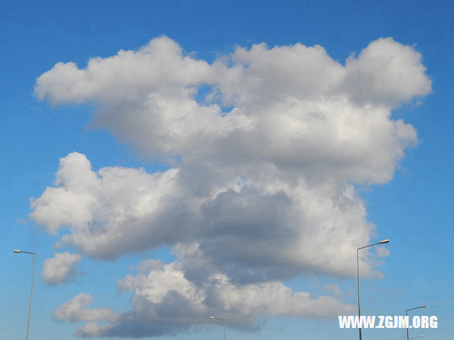 夢見羊死了_周公解夢夢到羊死了是什麼意思_做夢夢見羊死了好不好_周公解夢官網