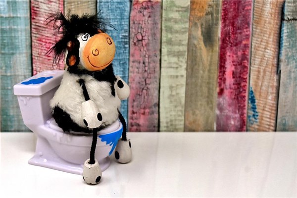 夢到了找廁所拉屎是什麼預兆_周公解夢