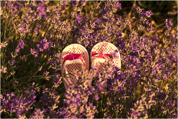 夢到了女人上男廁所是啥預兆_周公解夢官網