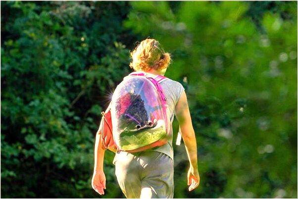 夢到了在屋頂看錶演是好的徵兆嗎_周公解夢官網