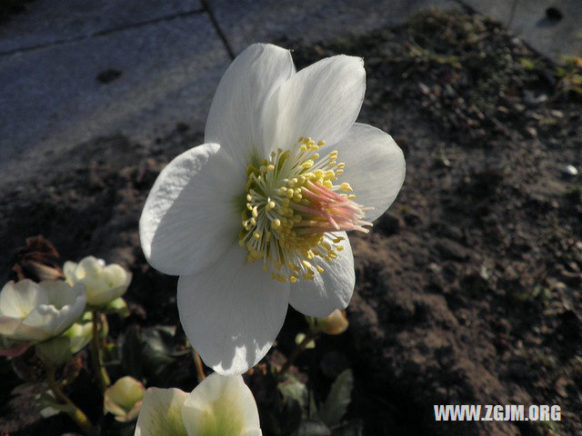 夢見金銀財寶_周公解夢夢到金銀財寶是什麼意思_做夢夢見金銀財寶好不好_周公解夢官網