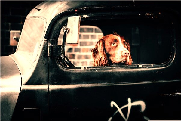 夢到外衣很髒是什麼兆頭_周公解夢官網