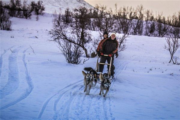 Dream of sled: dream of sled, singular journey _ duke of zhou interprets