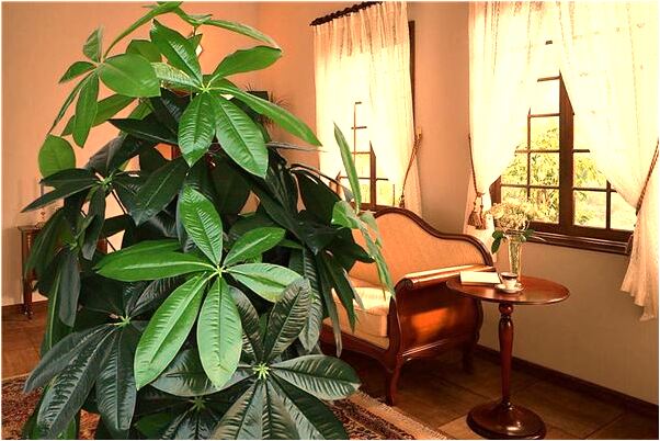 夢到了故去爺爺的一串鑰匙預兆了什麼嗎_周公解夢官網