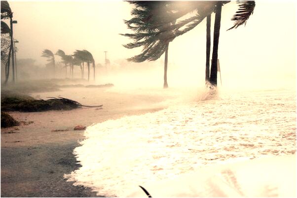 夢到商場打折的衣服很髒是什麼徵兆_周公解夢官網