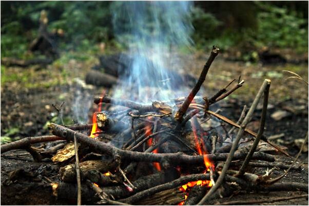 夢到了我孩子失蹤了報警了怎么說_周公解夢官網