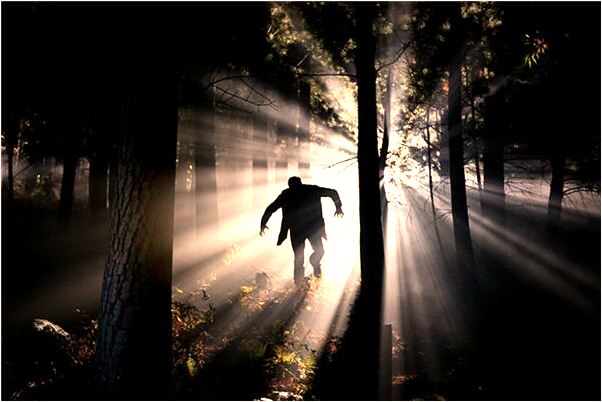 夢見追著別人扔石頭是什麼徵兆_周公解夢官網