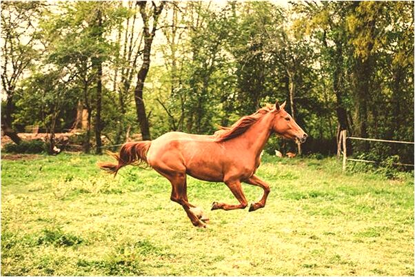 夢見帶小孩被人追是好的徵兆嗎_周公解夢官網