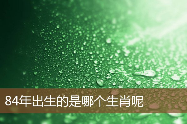 84年出生的是哪個生肖呢_十二生肖