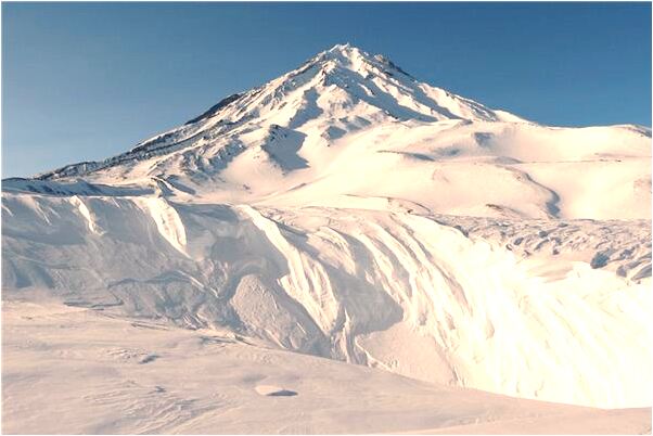 夢到了腳踩泥挖野菜是什麼預兆_周公解夢官網