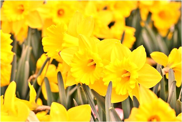 夢到了把敵人的手扭斷怎么回事_周公解夢官網