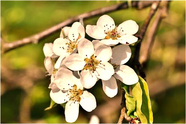 夢見螞蟻在自己身上是怎么回事_周公解夢官網