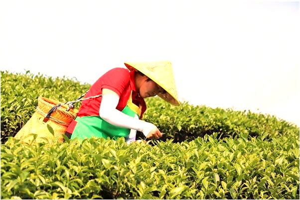 夢到了趕馬車過河河裡有鞋衣服預兆了什麼嗎_周公解夢官網