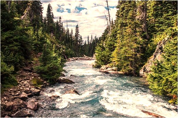 夢到了偷抓螃蟹怎么說_周公解夢官網