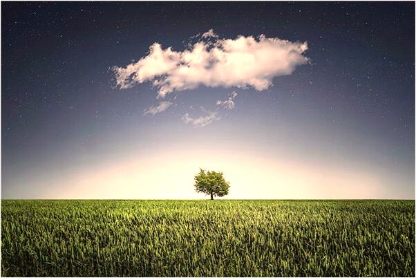 夢到認識的人殺認識的人有什麼含義_周公解夢官網