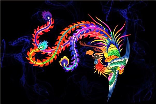 夢到了鳥兒死在我手裡是什麼意思_周公解夢官網