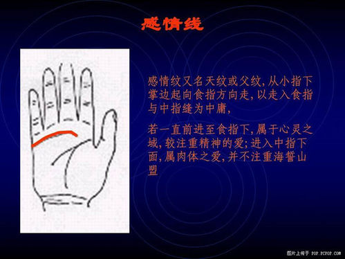 Palm fortune-telling illustration of emotional line identification and views