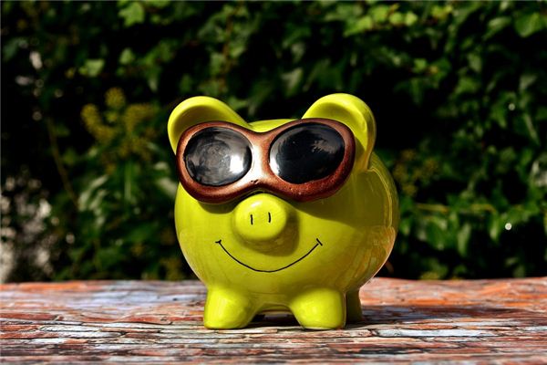 豬年屬什麼_十二生肖