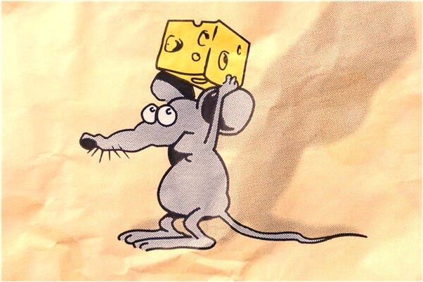 夢到跟前夫回他家了有什麼意義嗎_周公解夢官網