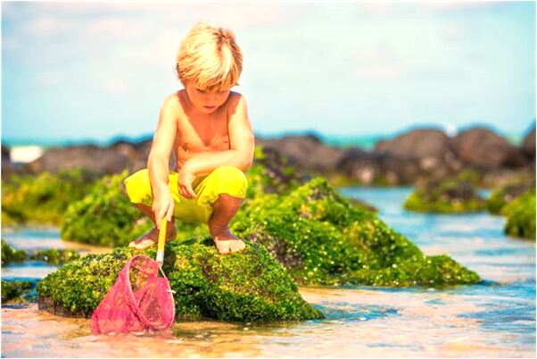 夢到親人告訴我狗死了是怎么回事_周公解夢官網