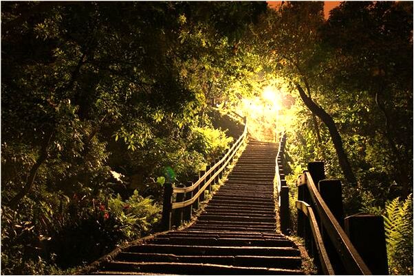 夢到朋友帶著去狗肉館意味著什麼_周公解夢官網