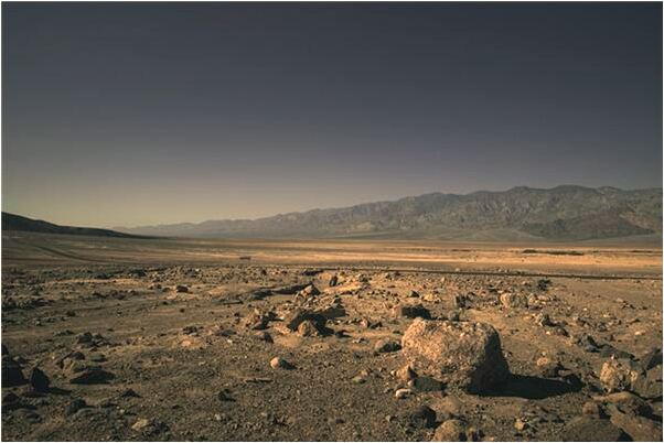 夢見別人的小孩子死是什麼意思_周公解夢官網