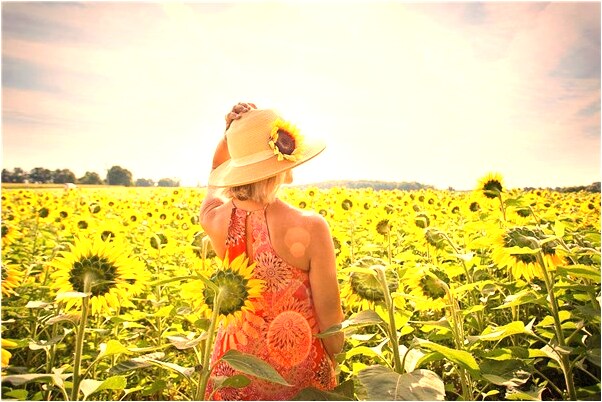 夢到朋友之間送花是什麼預兆_周公解夢官網