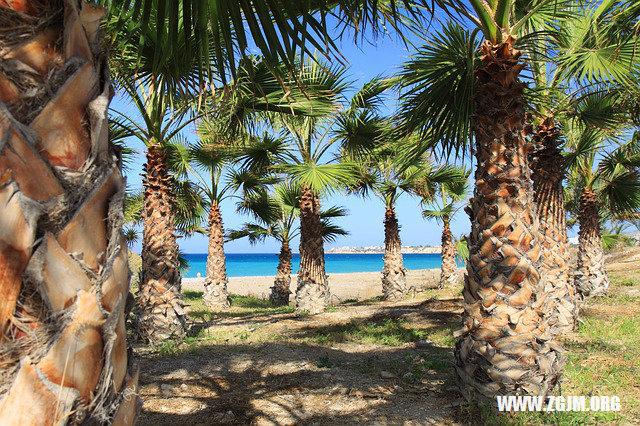 夢見來例假見血_周公解夢夢到來例假見血是什麼意思_做夢夢見來例假見血好不好_周公解夢官網