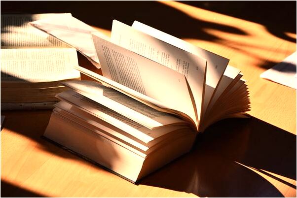 夢到了被大魚咬在嘴裡意味什麼_周公解夢官網